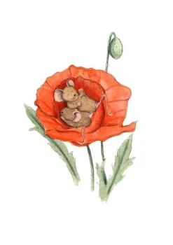 Anillustration Wenskaarten^Ansichtkaart Slapende muisjes in klaproos