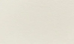 Anillustration Wenskaarten^Ansichtkaart Slapende muisjes bloesemboom