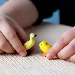 bumbu toys Kippen|Boerderijdieren^BumbuToys Kuiken