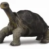 Collecta Collecta Dieren En Figuren^Galapagosreuzenschildpad 88619