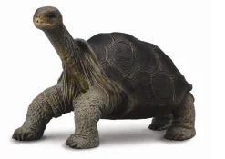 Collecta Collecta Dieren En Figuren^Galapagosreuzenschildpad 88619
