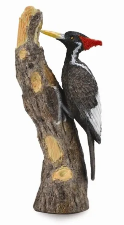 Collecta Collecta Dieren En Figuren^Ivoorsnavelspecht 88802