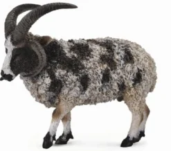 Collecta Collecta Dieren En Figuren^Jacobschaap 88728