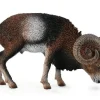 Collecta Collecta Dieren En Figuren^Moeflon 88682
