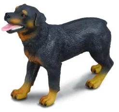 Collecta Collecta Dieren En Figuren^Rottweiler 88189