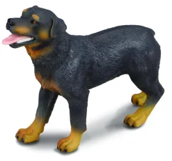 Collecta Collecta Dieren En Figuren^Rottweiler 88189