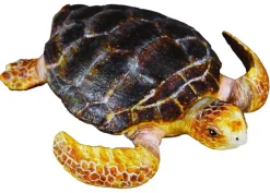 Collecta Collecta Dieren En Figuren^Schildpad 88094