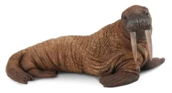 Collecta Collecta Dieren En Figuren^Walrus 88569
