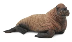 Collecta Collecta Dieren En Figuren^Walruskalf 88570
