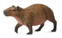 Collecta Collecta Dieren En Figuren^Waterzwijn 88540