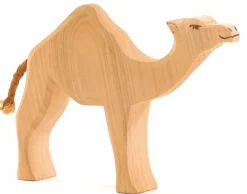 Ostheimer Wilde Dieren|Kameelachtigen^Dromedaris 20911