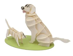 Fridolin Creatief^3D Papiermodel Hond Golden Retriever