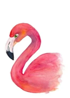 Fritsy Wenskaarten^Postkaart Flamingo