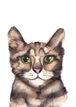 Fritsy Wenskaarten^Postkaart Kat