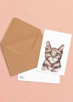 Fritsy Wenskaarten^Postkaart Kat