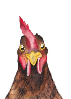 Fritsy Wenskaarten^Postkaart Kip