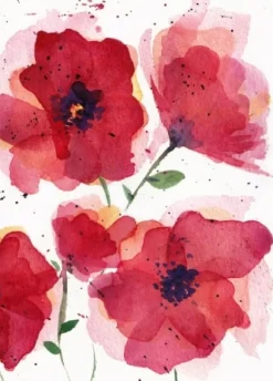 Fritsy Wenskaarten^Postkaart Klaproos Bloemen