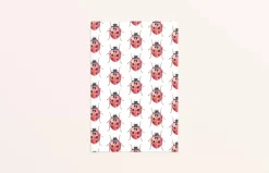 Fritsy Wenskaarten^Postkaart Lieveheersbeestjes