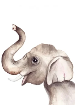 Fritsy Wenskaarten^Postkaart Olifant