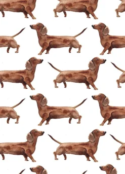 Fritsy Wenskaarten^Postkaart Teckels