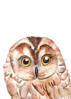 Fritsy Wenskaarten^Postkaart Uil