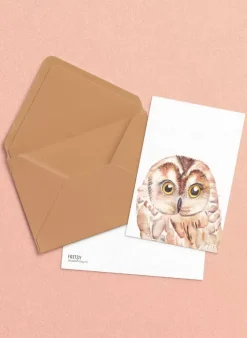 Fritsy Wenskaarten^Postkaart Uil