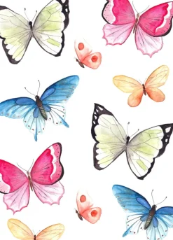 Fritsy Wenskaarten^Postkaart Vlinders