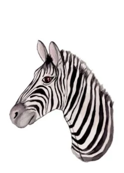 Fritsy Wenskaarten^Postkaart Zebra