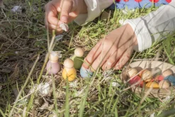 Grapat Open Ended Play^Baby Nins Houten Speelset 6-delig 18-180