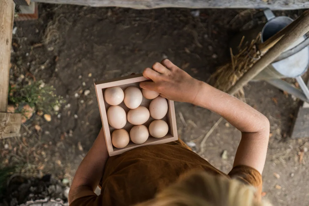 Grapat Open Ended Play^Houten Opbergkistje 22-239