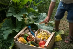 Grapat Open Ended Play^Mandala Tulip Hout 36-delig 22-240