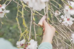 Grapat Open Ended Play^Sticks Houten Kabouters 18-delig 18-178