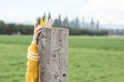 Grapat Open Ended Play^Sticks Houten Kabouters 18-delig 18-178