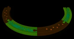 Hape Treinen^Spoorbaan Uitbreiding Deep Jungle Track Pack