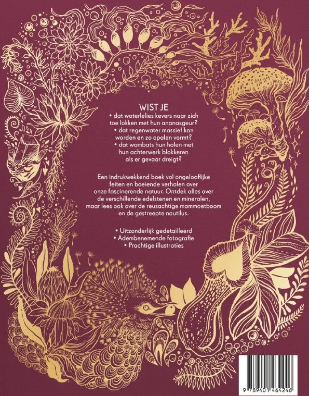 Terra Lannoo Educatieve Boeken^Het dikke boek van onze bijzondere natuur