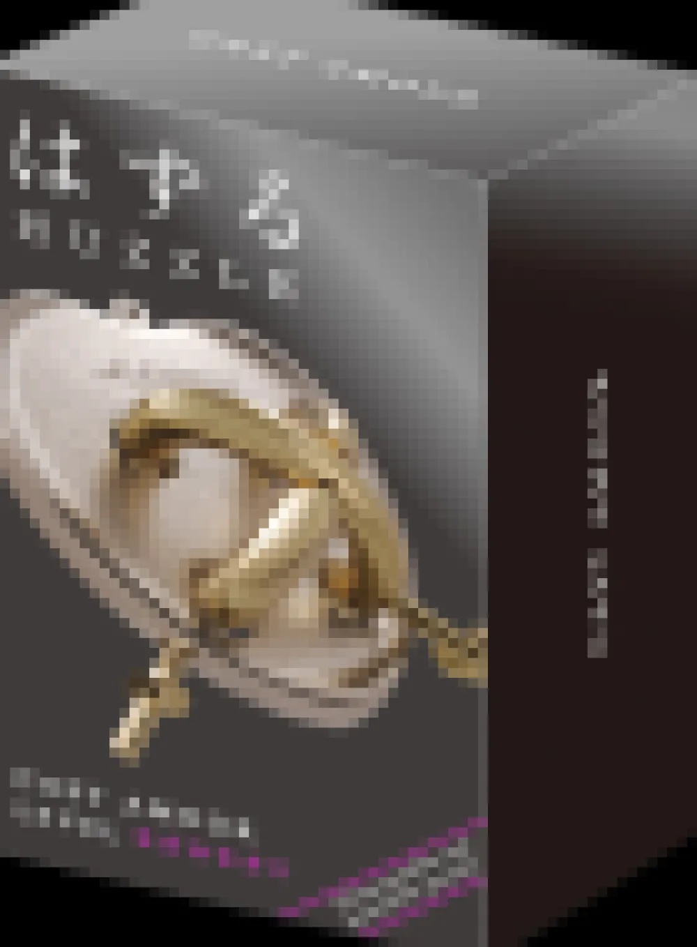 Huzzle Breinbrekers^Cast Amour