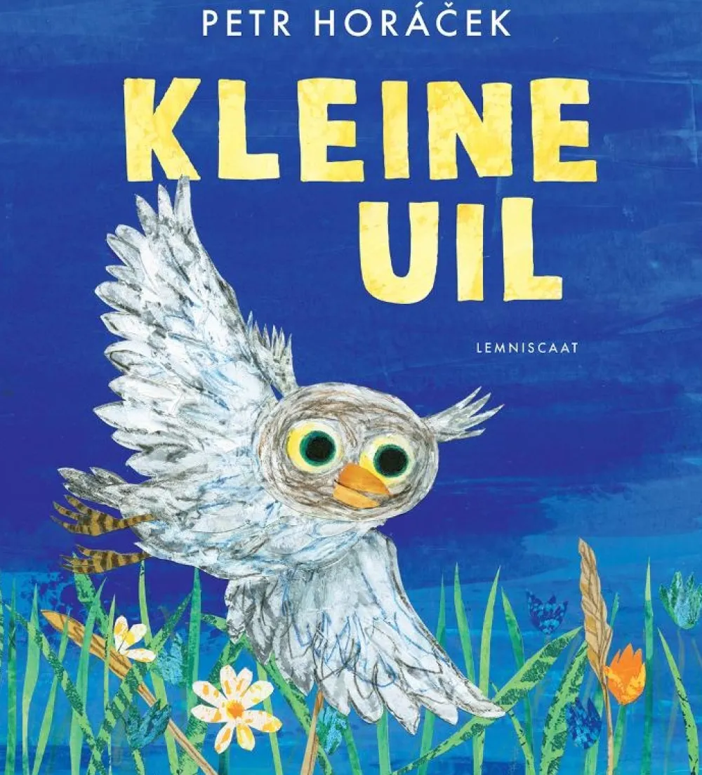 Lemniscaat Prentenboeken^Kleine Uil