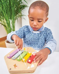 Le Toy Van Muziek^Xylofoon Activiteiten Paneel