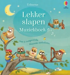 Uitgeverij Usborne Prentenboeken^Lekker slapen Muziekboek