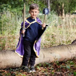 Liontouch Pretend Play / Rollenspel^ Ridder Gouden Adelaar Schild