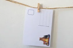 Lotte Drouen Wenskaarten^Ansichtkaart Kamperen