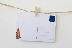 Lotte Drouen Wenskaarten^Ansichtkaart Sterren Kijken