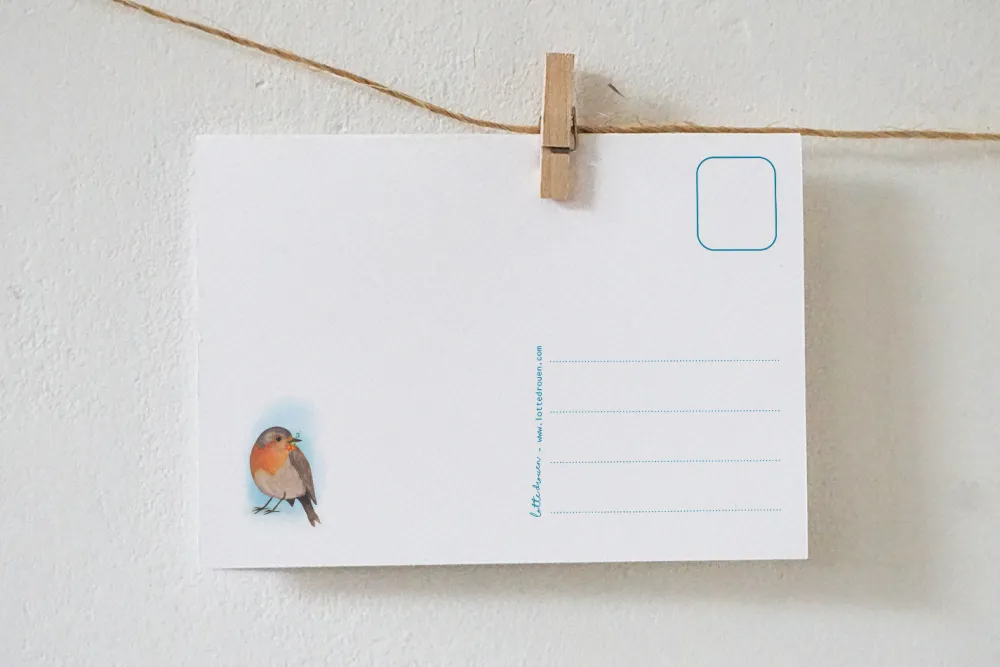 Lotte Drouen Wenskaarten^Ansichtkaart Roodborstje met bloemen