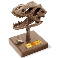 4M STEAM^KidzLabs Brullende T-Rex Schedel