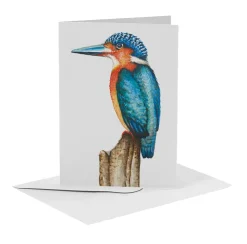 World of Mies Wenskaarten^MiesToGo Wenskaart IJsvogel