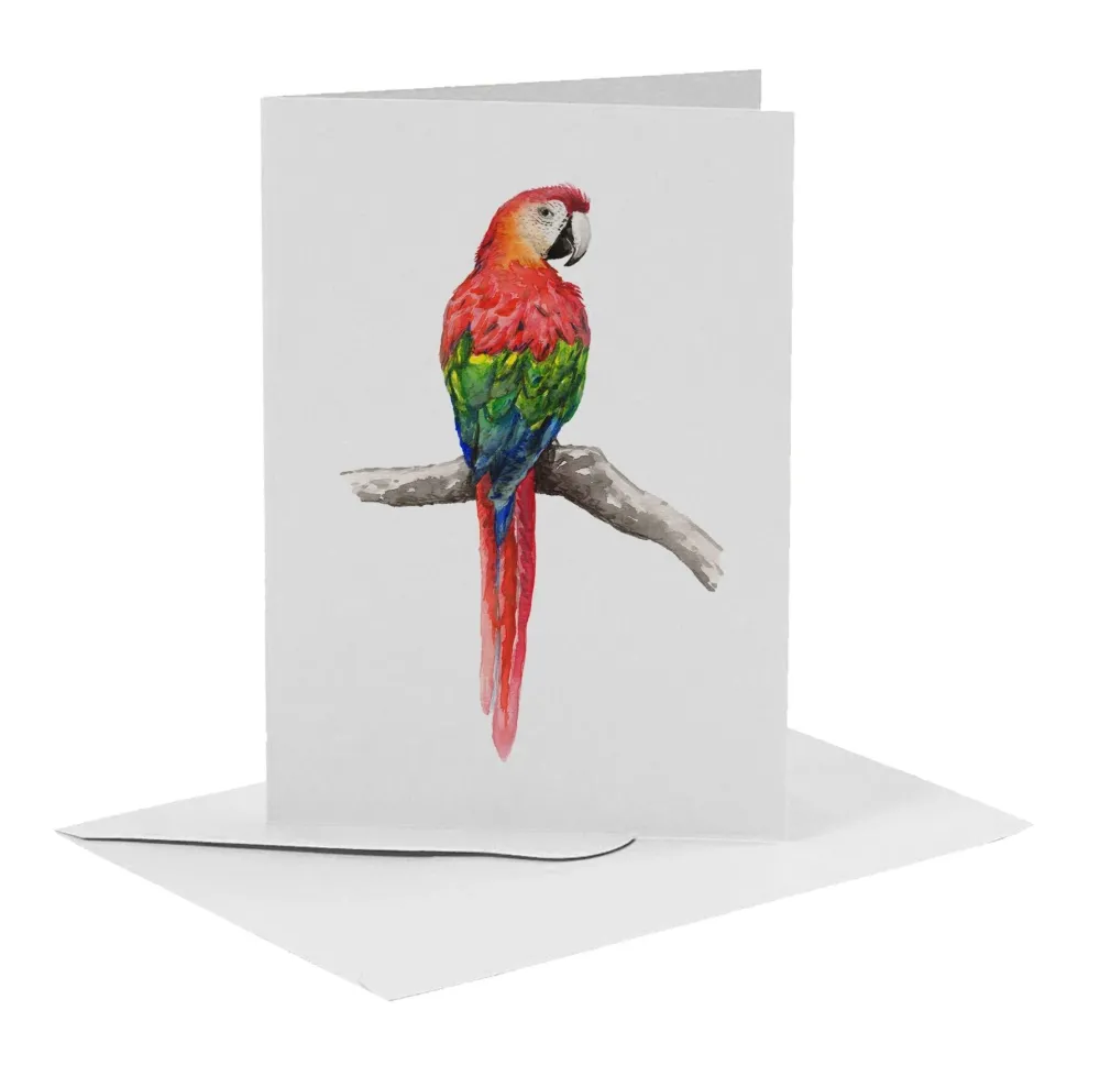 World of Mies Wenskaarten^MiesToGo Wenskaart Papegaai