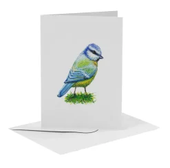 World of Mies Wenskaarten^MiesToGo Wenskaart Pimpelmees