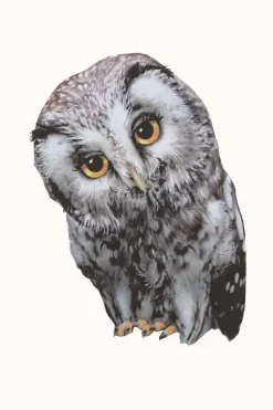 Sticky Tales Decoratie^Muursticker Oehoe de Uil