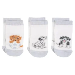 Wrendale Designs Kinderkleding|Kraamcadeaus^Little Paws Baby Socks Set - 0-6 Months