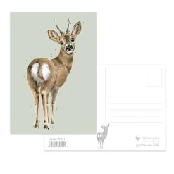 Wrendale Designs Wenskaarten^The Roe Deer Postcard - Deer